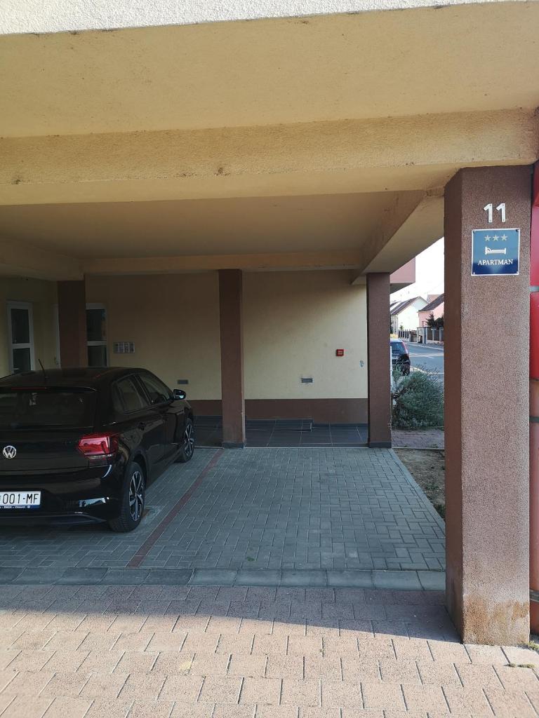 DORA photo 1