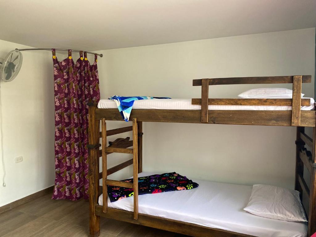 XaviHostel photo 3
