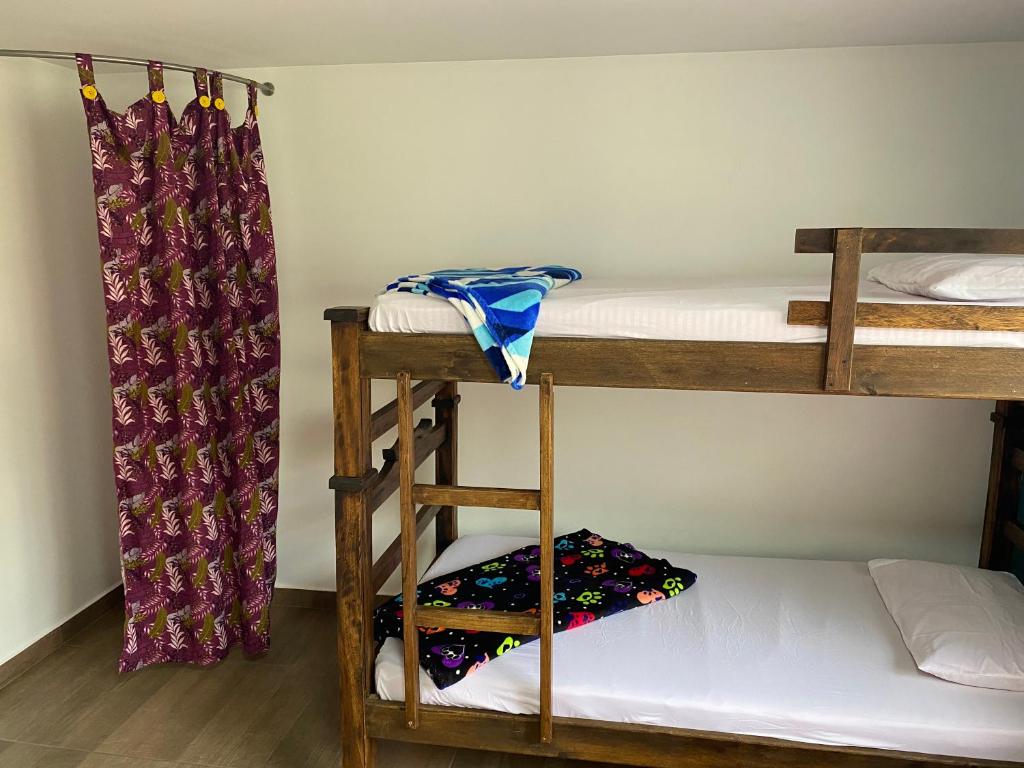 XaviHostel photo 2