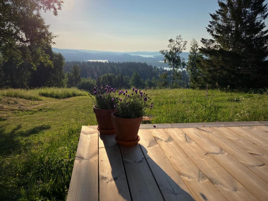 Bakgården i Revsund photo 4