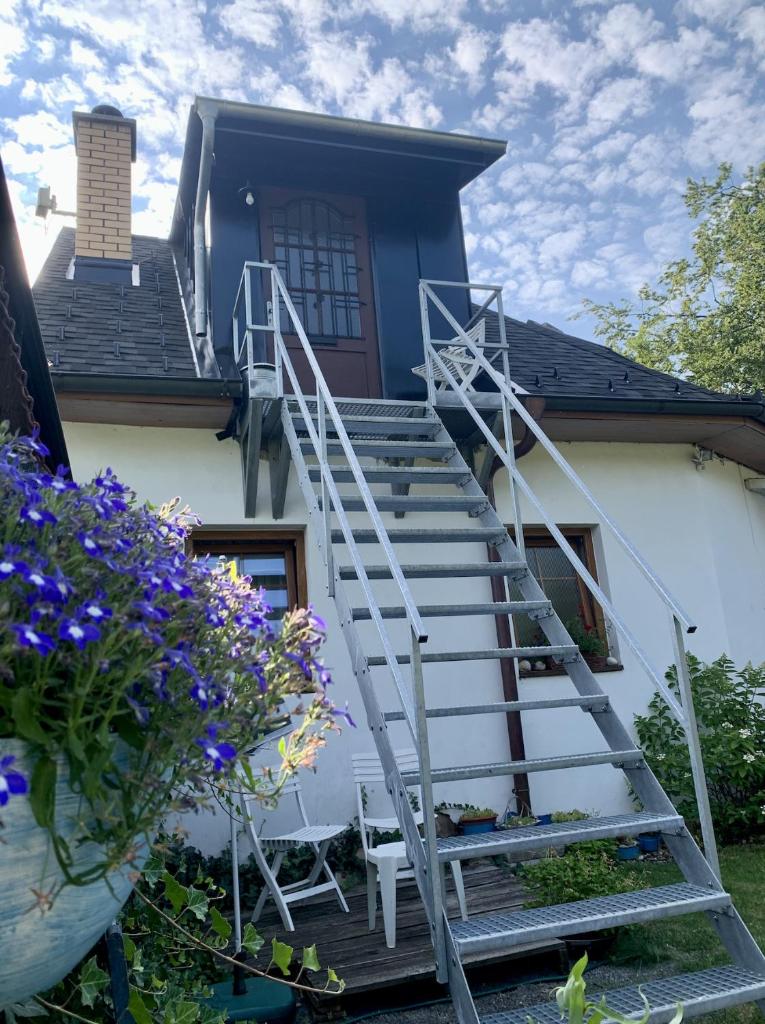 Apartmán U památného stromu v podkroví photo 1