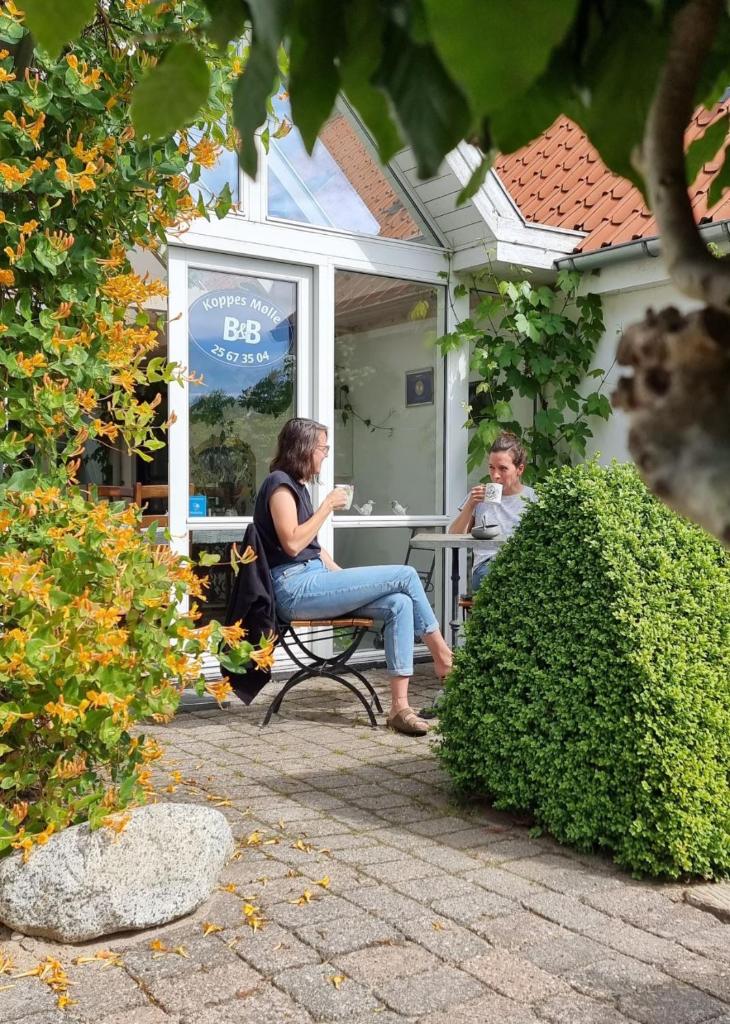 Koppes Mølle B&B photo 1