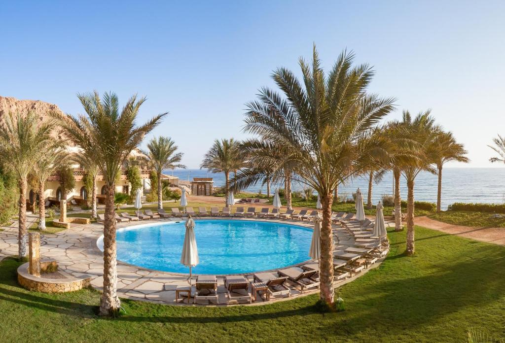 Двухместный (Двухместный номер с 1 кроватью), Dahab Paradise