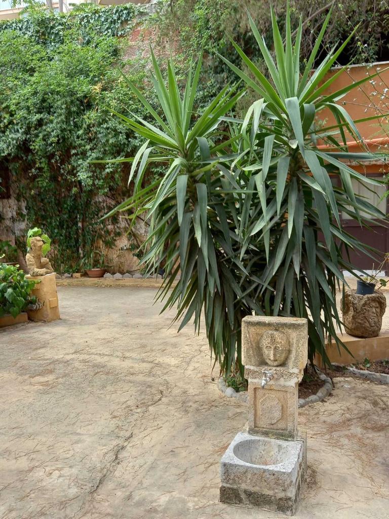 Villa Coglitore a Bagheria photo 4