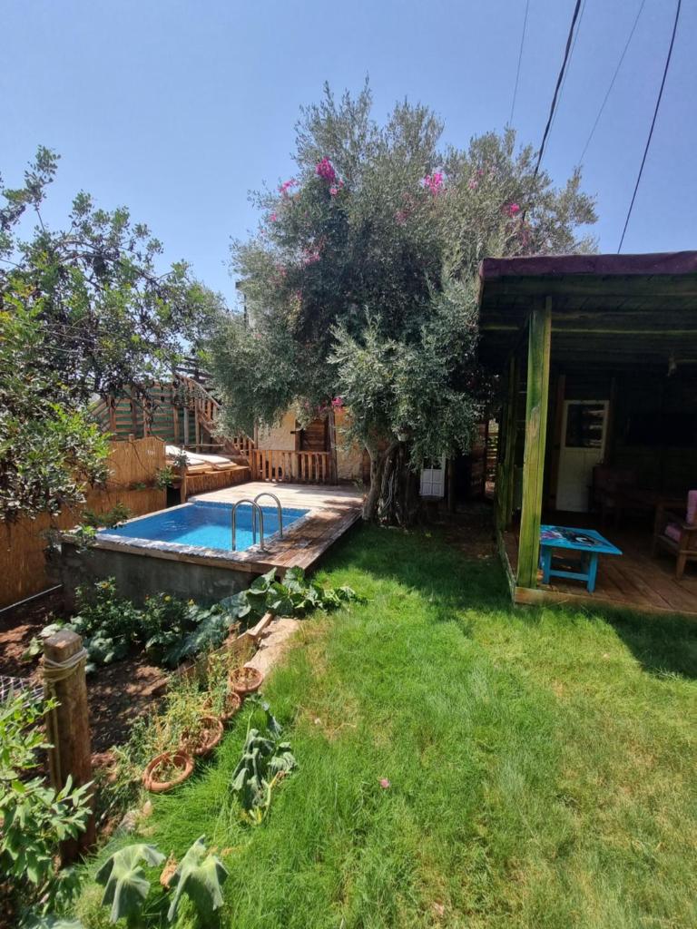 Kabak Lost Forest VİLLA photo 2