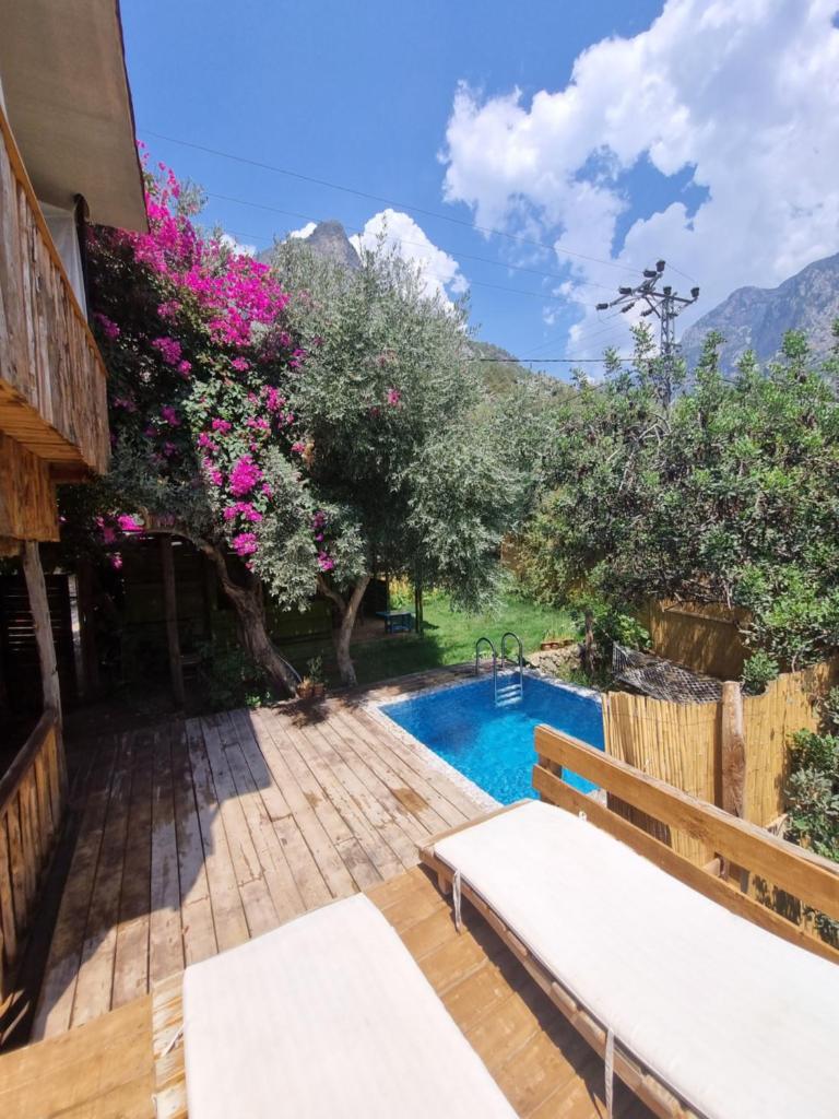 Kabak Lost Forest VİLLA photo 4