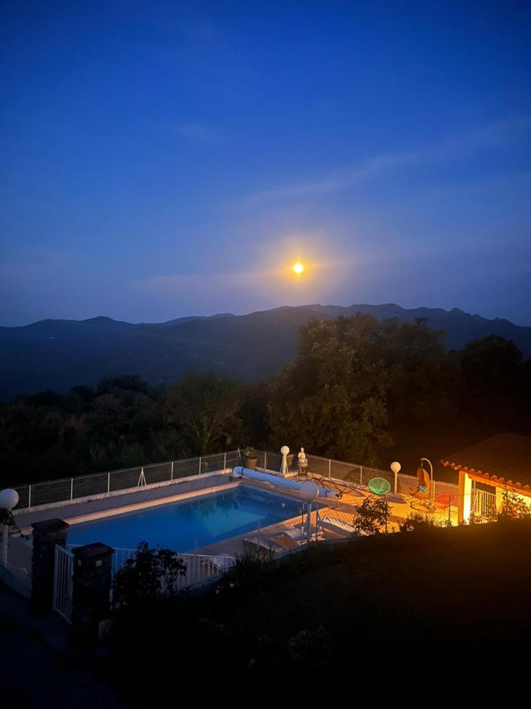 villa calme et detente photo 1