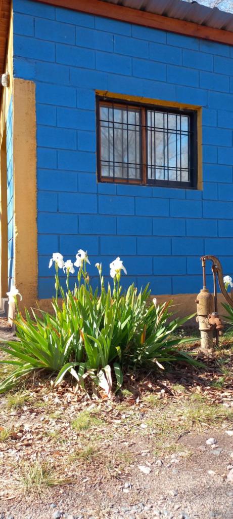 Casita de Colores photo 2