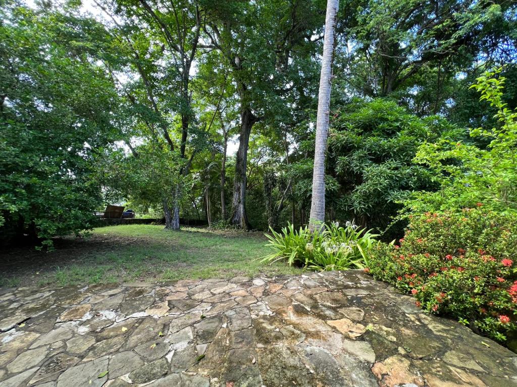 Villa Montana photo 3