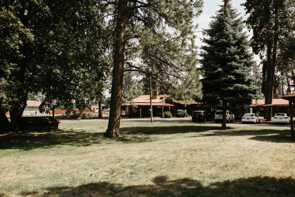 Cedar Village Motel photo 3