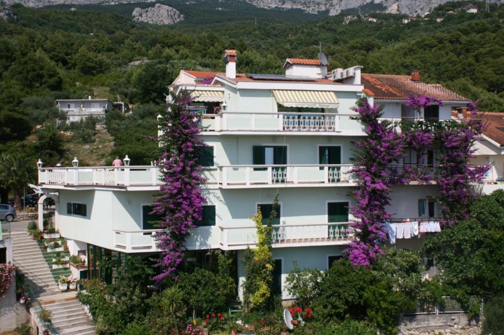 Apartments and rooms with parking space Podgora, Makarska - 6706 photo 1