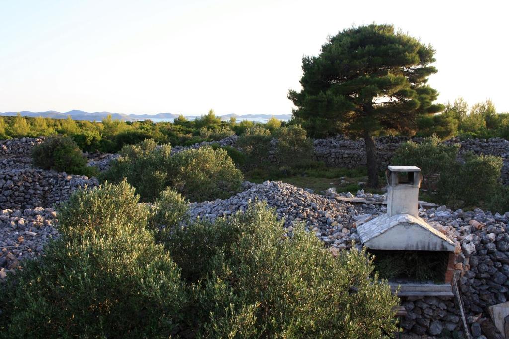 Secluded holiday house Nevidjane, Pasman - 8529 photo 4
