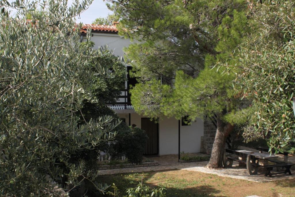 Apartments with a parking space Zdrelac, Pasman - 8514 photo 2