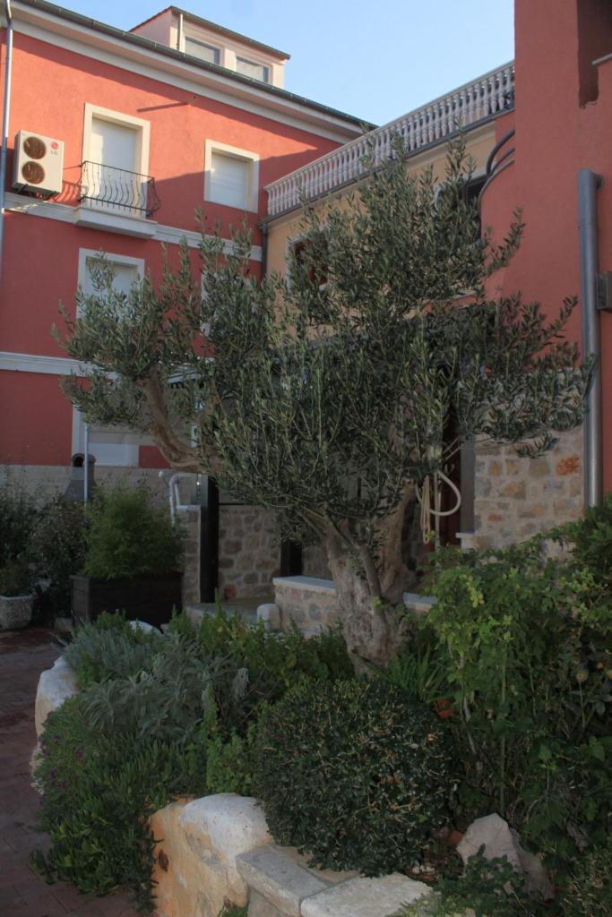 Apartments by the sea Poljana, Ugljan - 8432 photo 4