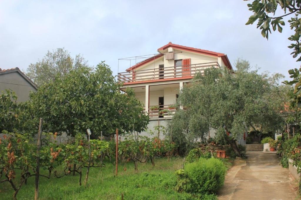 Apartments by the sea Preko, Ugljan - 8522