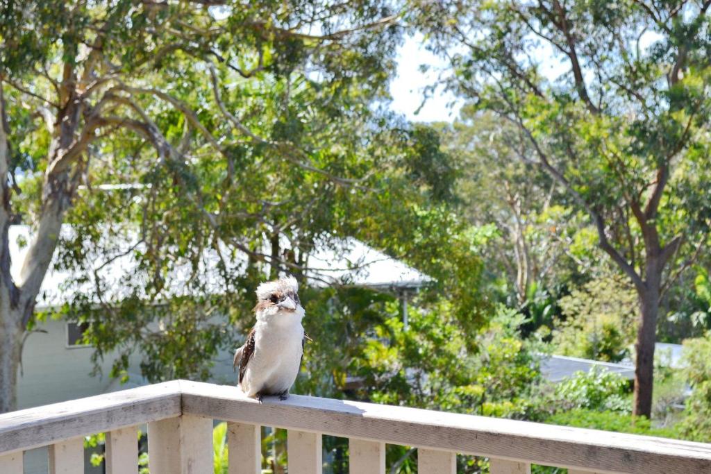 Dalesview Retreat photo 1