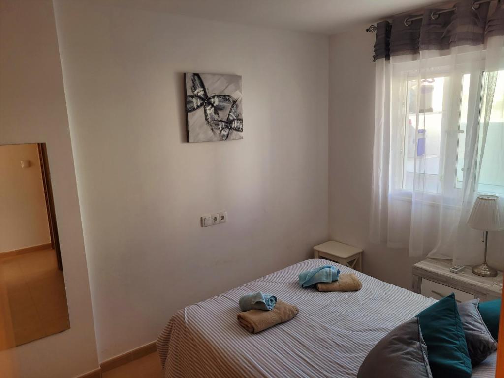 JARDIN 8 JOZMAR photo 4