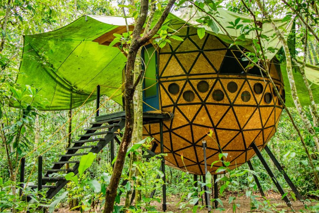 Hotel Ecologico Makalombia photo 1