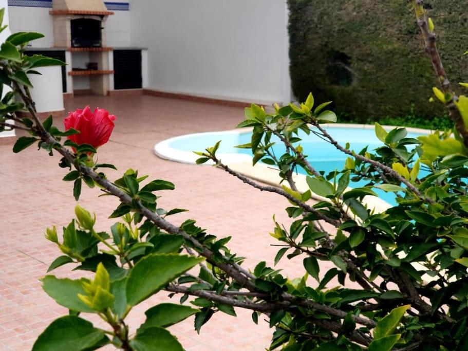 LOVELY BEACH HOUSE moradia V4 com piscina photo 2