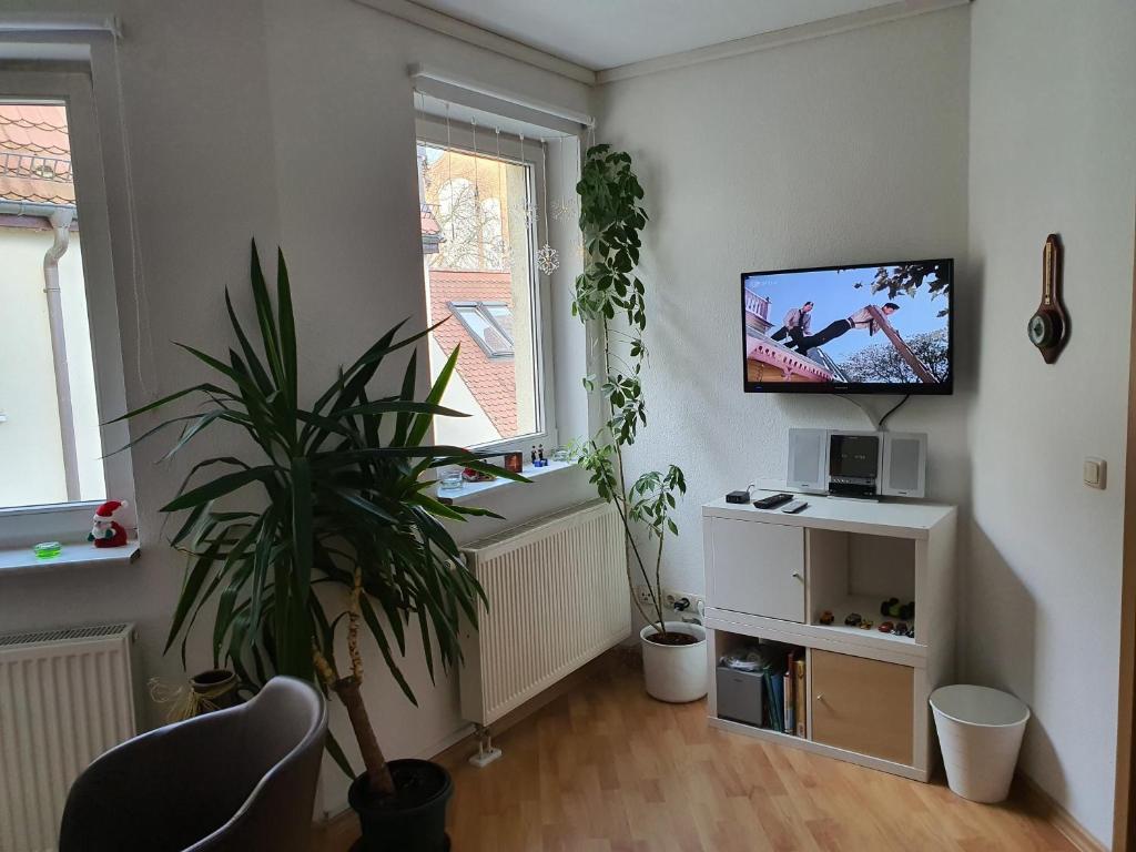 Helles 3 Raum Appartement DRAGO auf der Dominsel im Herzen der Stadt photo 2