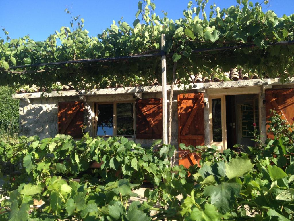 Secluded house with a parking space Podhumlje, Vis - 13984 photo 1