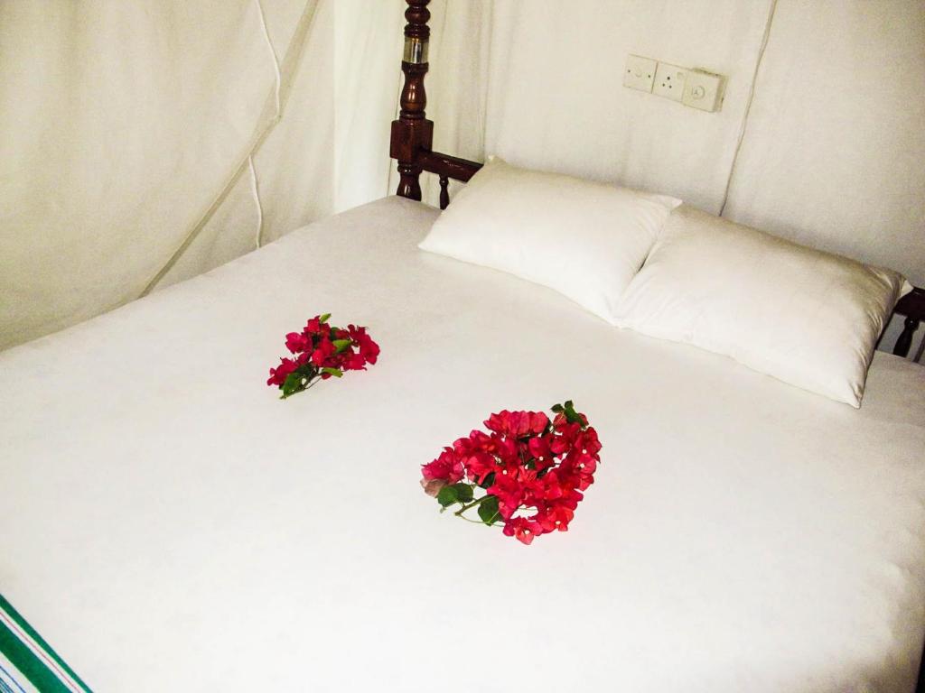 C-Lanka Guest House photo 3