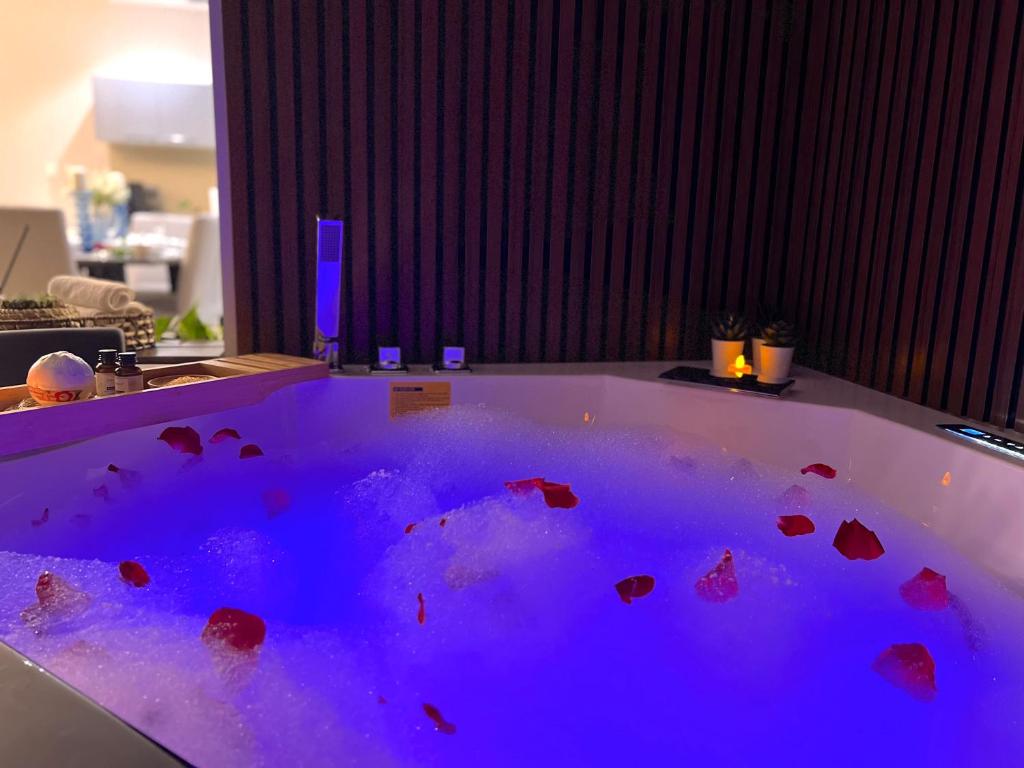 Stylish Apartment with a Jacuzzi (Park&Pool View) photo 1