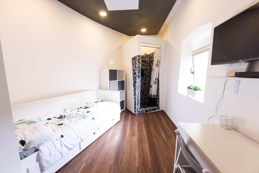 Rooms Viktorin photo 3