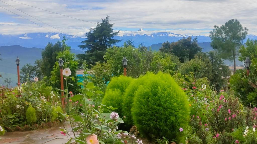 Kasar wonder hill homestay photo 2