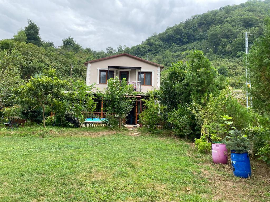 Doğa villa