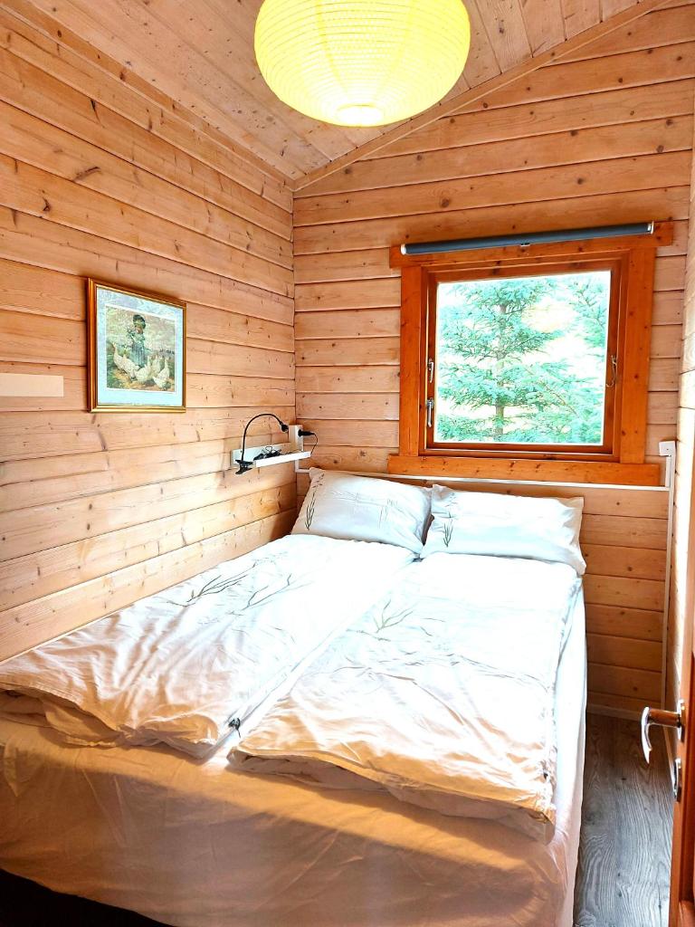 Ásgeirsstaðir Holiday Homes photo 3