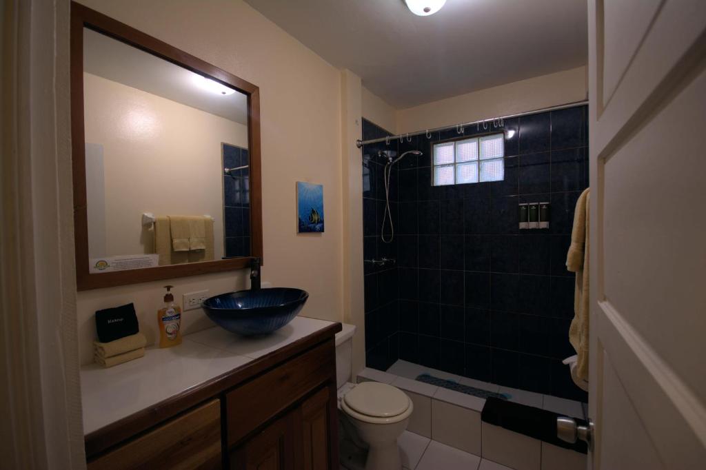 BELIZE TROPICAL DREAM VILLAS photo 4
