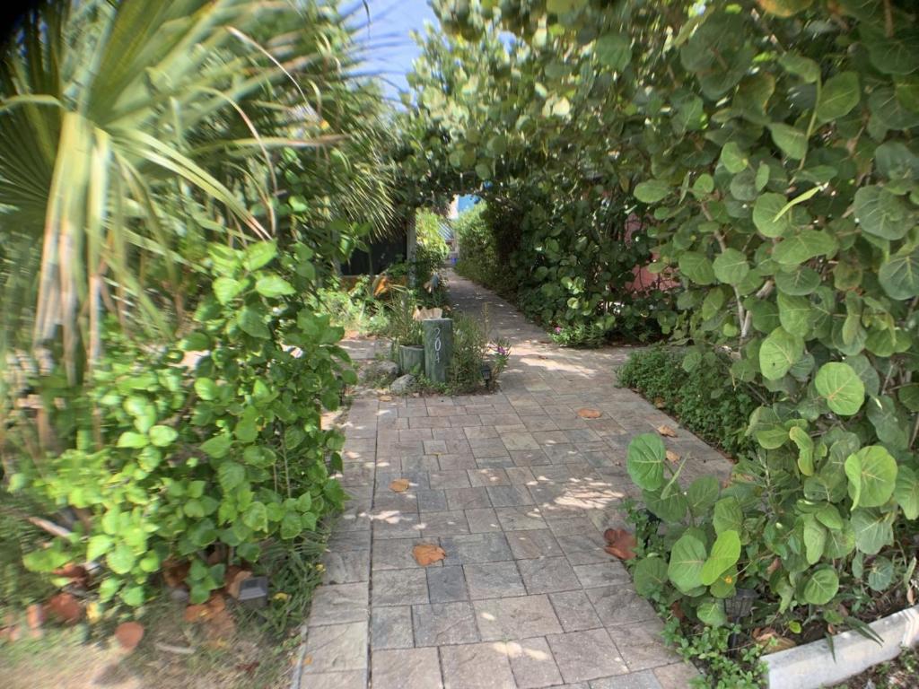 Sea Oats Studio - At Casas de la Playa Central photo 2