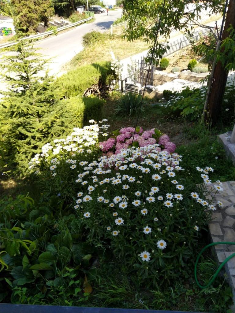 Vila Grozdanoski photo 3