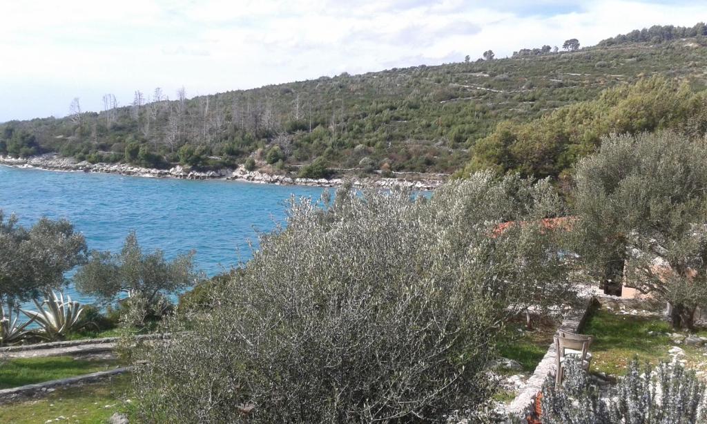 Secluded fisherman's cottage Cove Pircina, Ciovo - 14195 photo 4