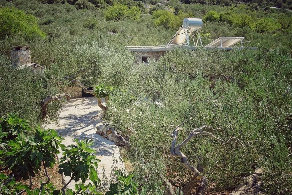 Secluded holiday house Povlja, Brac - 14500 photo 1