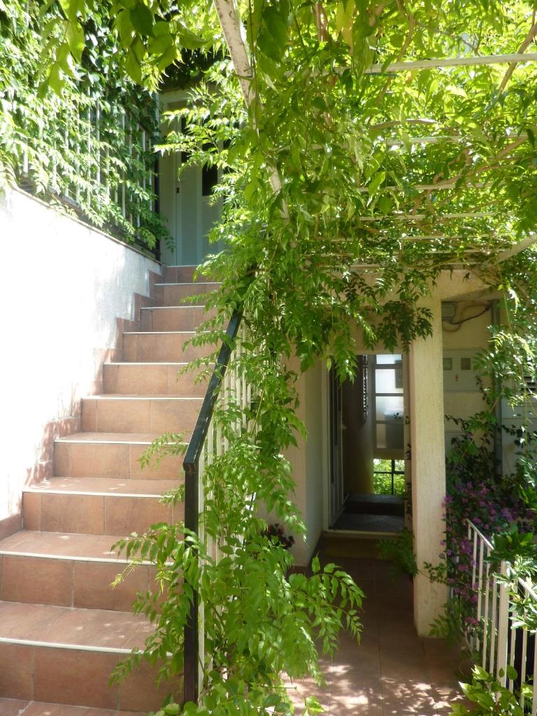 Apartments by the sea Polace, Mljet - 16296 photo 4