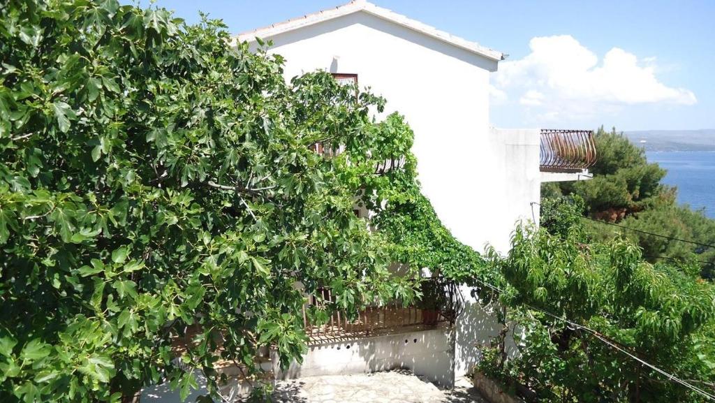 Apartments by the sea Cove Gornja Krusica, Solta - 16376 photo 1