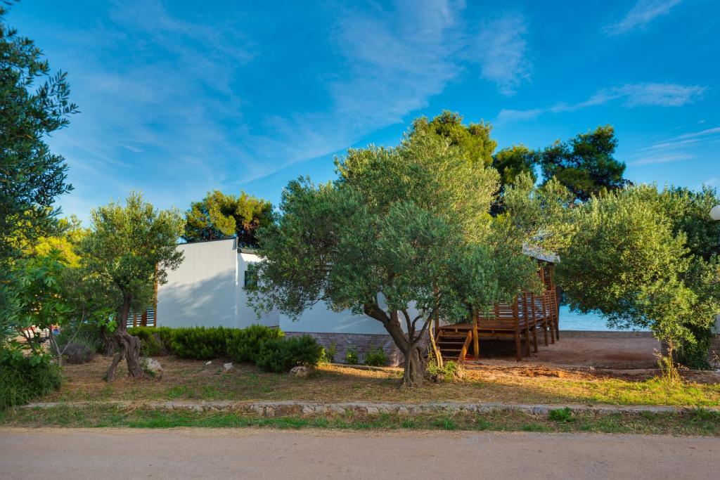 Apartments by the sea Pirovac, Sibenik - 16363 photo 2