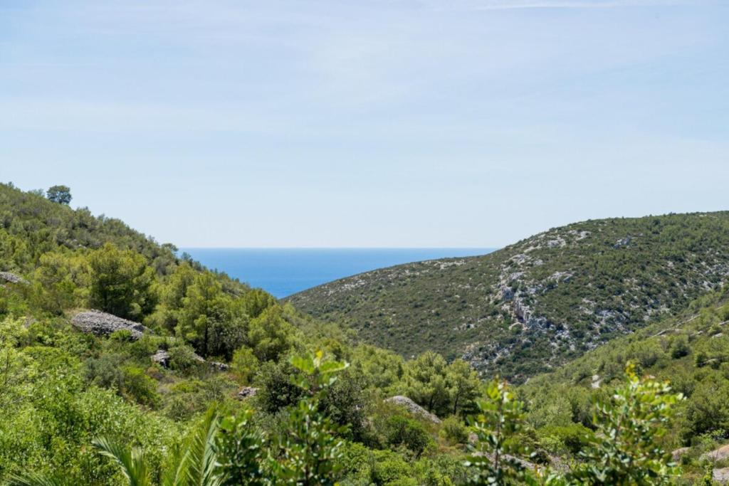 Rural house Pikola with sea view on Vis Island photo 1