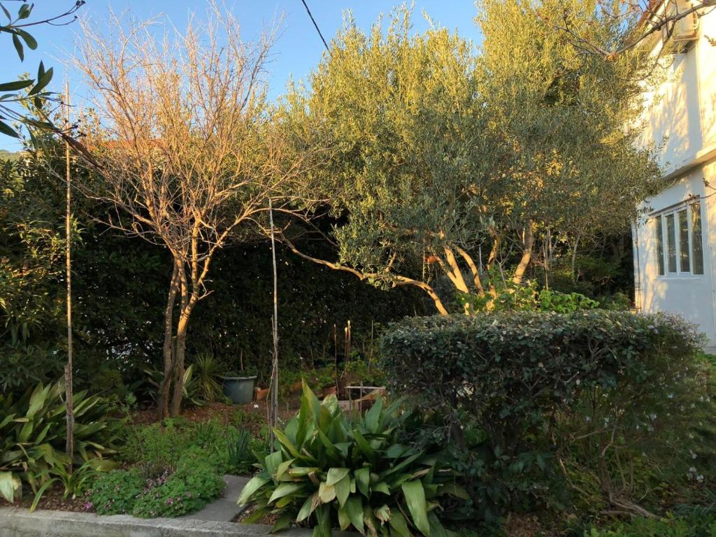 Apartment Barbat 16723b photo 4