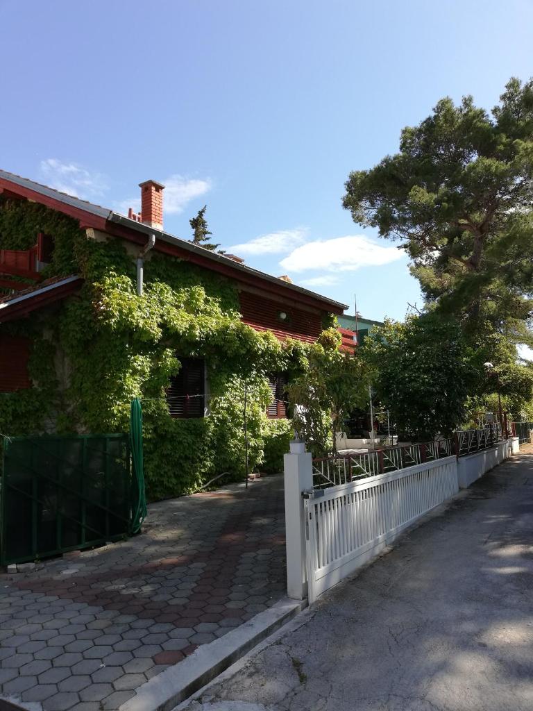Apartments by the sea Petrcane, Zadar - 16828 photo 1
