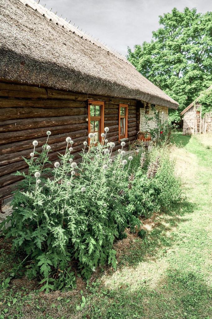 Matsi cottage photo 2