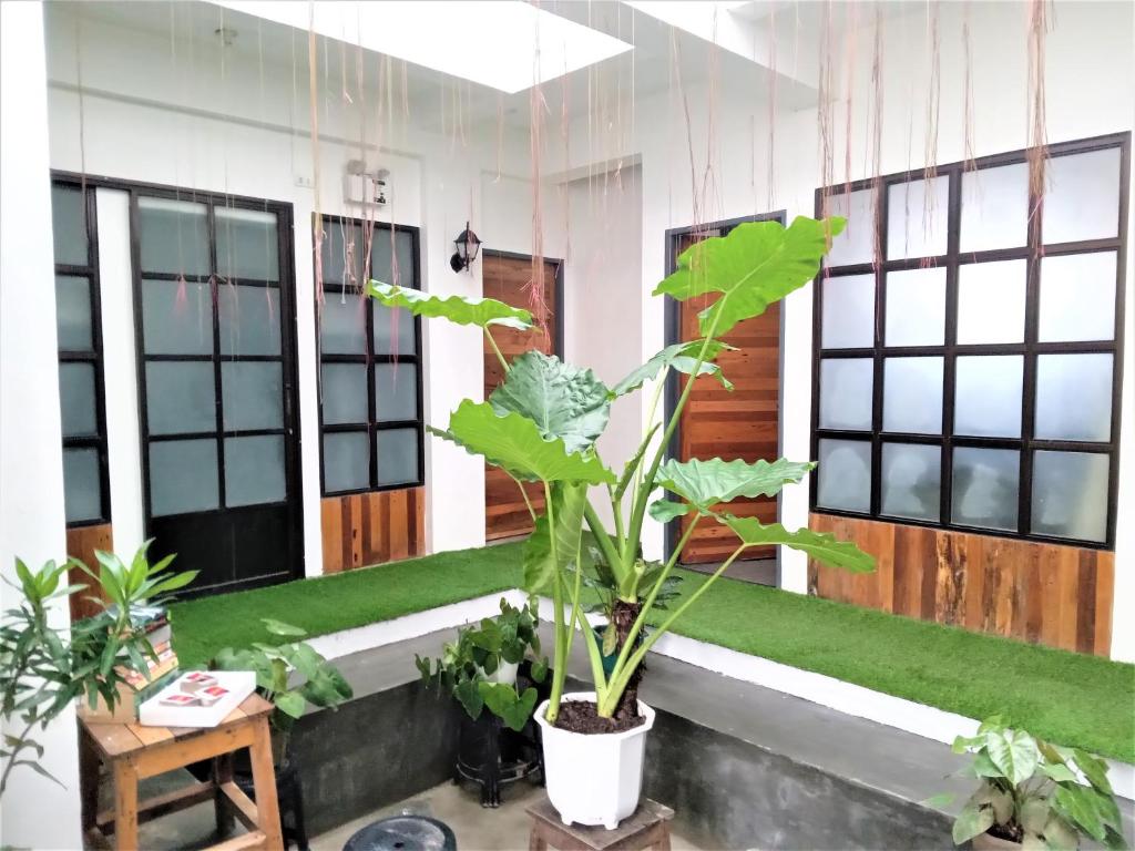Avisala Hostel Coron photo 1
