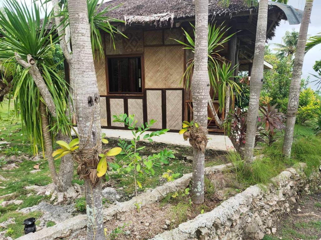 Allba's Homestay photo 2