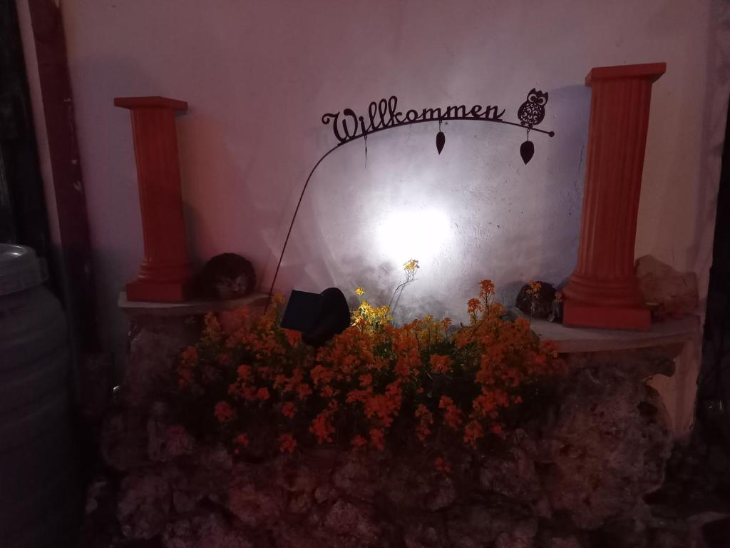 Ferienwohnung Lerchennest photo 2
