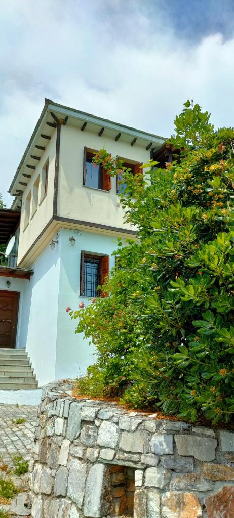 Athina's Villa Uphill photo 2