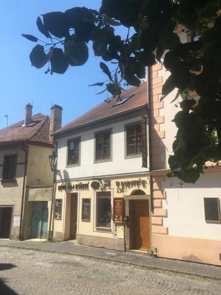 Penzion U Borovičků photo 1