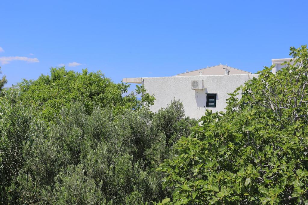 Apartments by the sea Lokva Rogoznica, Omis - 18638 photo 2