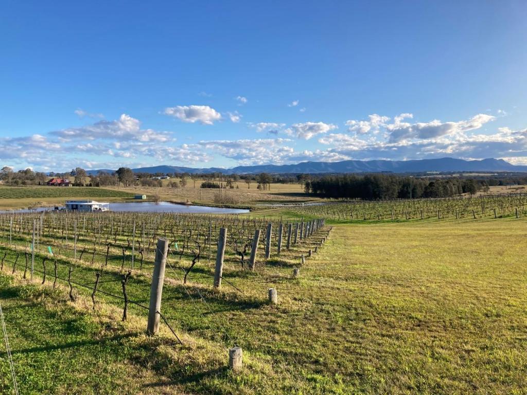 Romantic lakehouse set in a private vineyard in the Hunter Valley photo 4